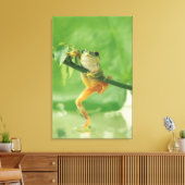 Baumfrosch 6 leinwanddruck (Insitu (Wohnzimmer))