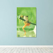 Baumfrosch 6 leinwanddruck (Insitu (Holzboden))