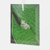 Baumfrosch auf einem Sockel Ornament Aus Glas (Vorderseite links)
