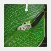 Baumfrosch auf einem Sockel Ornament Aus Glas (Rückseite)