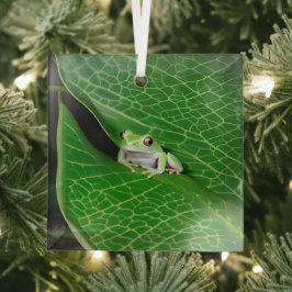 Baumfrosch auf einem Sockel Ornament Aus Glas