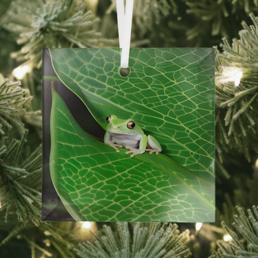 Baumfrosch auf einem Sockel Ornament Aus Glas (Insitu)
