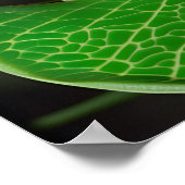 Baumfrosch auf einem Sockel Poster (Ecke)