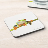 Baumfrosch auf Stamm Getränkeuntersetzer (Linke Seite)