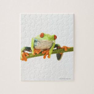 Baumfrosch auf Stamm Puzzle