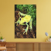 Baumfrosch (Hylidae) Leinwanddruck (Insitu (Wohnzimmer))