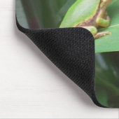 Baumfrosch in den Paprikaschoten Mousepad (Ecke)