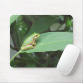 Baumfrosch in den Paprikaschoten Mousepad (Mit Mouse)