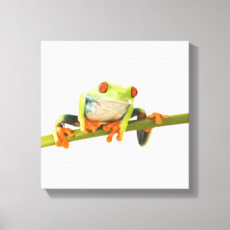 Baumfrosch Leinwanddruck