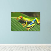 Baumfrosch Leinwanddruck (Insitu (Holzboden))
