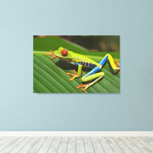 Baumfrosch Leinwanddruck (Insitu (Holzboden))