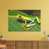 Baumfrosch Leinwanddruck (Insitu (Wohnzimmer))