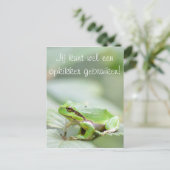 Baumfrosch mit dem Text 'Opkikker' Postkarte (Stehend Vorderseite)