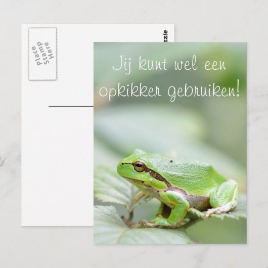 Baumfrosch mit dem Text 'Opkikker' Postkarte (Vorne/Hinten)