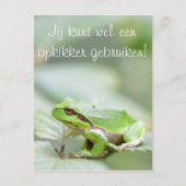 Baumfrosch mit dem Text 'Opkikker' Postkarte (Vorderseite)