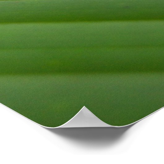Baumfrosch Poster (Ecke)
