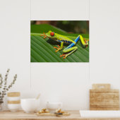 Baumfrosch Poster (Küche)