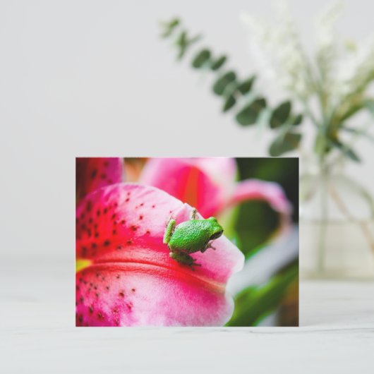 Baumfrosch Postkarte (Stehend Vorderseite)