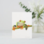 Baumfrosch Postkarte (Stehend Vorderseite)