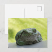 Baumfrosch Postkarte (Vorne/Hinten)