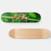 Baumfrosch Skateboard (Horizontal)
