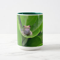 Baumfrosch-Tasse