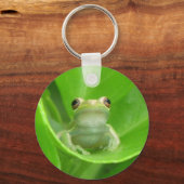 Baumfrösche am Blutorn - Schlüsselkette Schlüsselanhänger (Vorderseite)