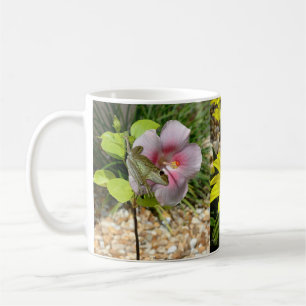 Baumfrösche Hibiskus Blume Tasse