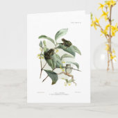 Baumfrösche Karte (Gelbe Blume)