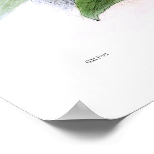 Baumfrösche Poster (Ecke)