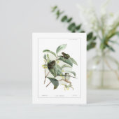 Baumfrösche Postkarte (Stehend Vorderseite)