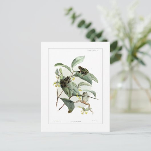 Baumfrösche Postkarte (Stehend Vorderseite)