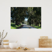 Baumgebundene Landstraße Poster (Küche)