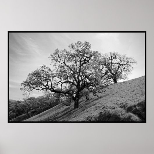 Baumgedichte drucken poster (Vorne)