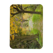 Baumgesäumter Pfad im Herbst Magnet (Vertikal)