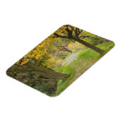 Baumgesäumter Pfad im Herbst Magnet (Linke Seite)