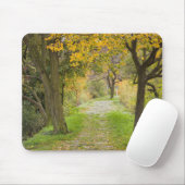 Baumgesäumter Pfad im Herbst Mousepad (Mit Mouse)