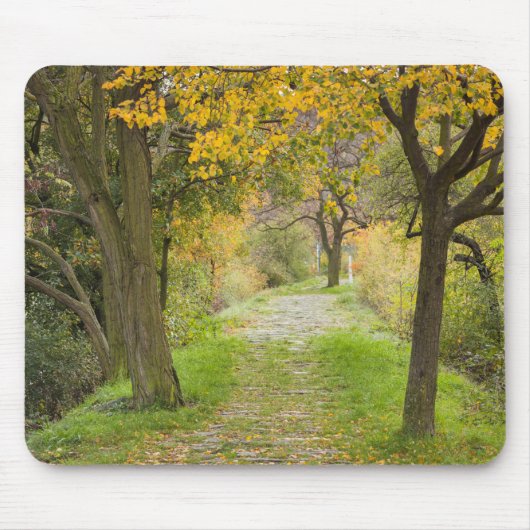 Baumgesäumter Pfad im Herbst Mousepad (Vorne)