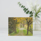 Baumgesäumter Pfad im Herbst Postkarte (Stehend Vorderseite)