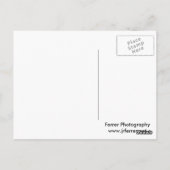 Baumgesäumter Teich und Reedy Marsh im Frühjahr Postkarte (Rückseite)