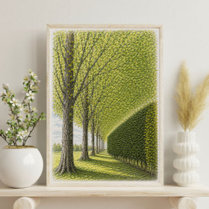Baumgesäumter Weg Botanische Landschaftskunst Poster