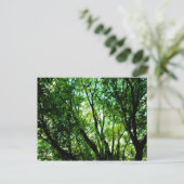 Baumgipfel Postkarte (Stehend Vorderseite)