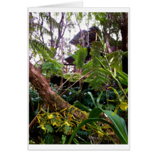 Baumhaus Mahinui Na Lani