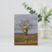 Baumhaus Postkarte (Stehend Vorderseite)