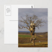 Baumhaus Postkarte (Vorne/Hinten)
