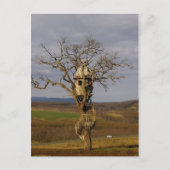 Baumhaus Postkarte (Vorderseite)