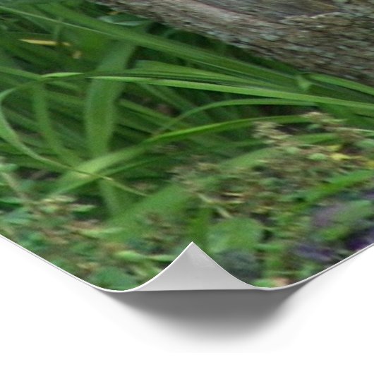 Baumhaus - Print Poster (Ecke)