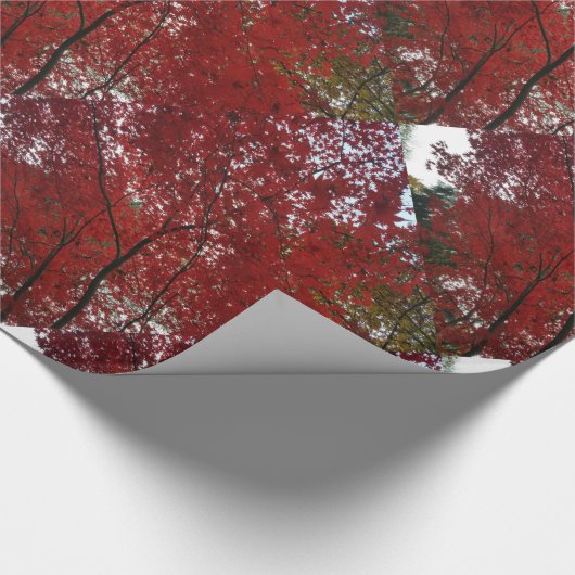 Baumherbstsaison Red Brown Herbstleaves Geschenkpapier (Ecke)