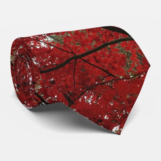 Baumherbstsaison Red Brown Herbstleaves Krawatte (Gerollt)