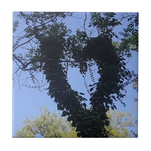 Baumherz Fliese (Vorderseite)